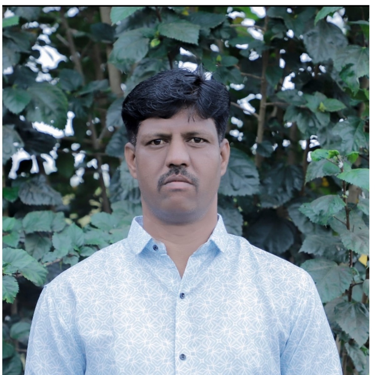 • Amol Vijay Mane